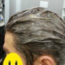 헤어칼라,팜 이미지