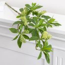 녹색플라워 이미지