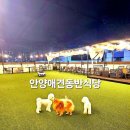 루체인알티스 | 안양 애견카페 실내 야외 예쁜 루프탑과 애견운동장이 있는 루체인알티스