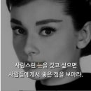 모텔씨에프 이미지