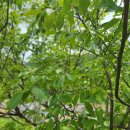 유전2농장 이미지