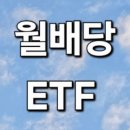 N-Plus | PLUS 자사주매입고배당주 상장 정보와 매수 후기[투자기록]