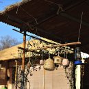 노고지리 이미지