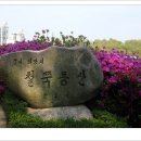 철쭉동산 이미지
