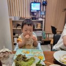 에이블 동물병원 | 18개월 아기랑 제주도 2박3일 | 비행기 꿀팁부터 응급실 후기까지