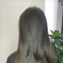 담헤어살롱