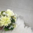 진주 | 에델린꾸뛰르 촬영가봉 - 발레리나 진주 드레스 후기, 지정혜택 공유