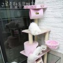 구로종합동물병원 이미지