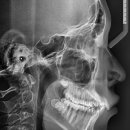 바른웅치과의원 이미지