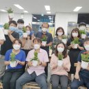 원주 중앙동 행정복지센터 이미지