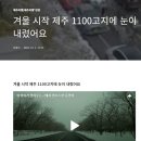 눈꽃이 핀 1100고지 도로교통상황 실시간으로 볼 수 있어요 펌글입니다 이미지