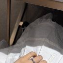 쇼파드 아이스큐브 가드링 후기