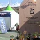 춘천 송암스포츠타운 승마장 | 춘천 송암 스포츠타운 2024 로컬 브랜드페스타 ver.2 솔직후기