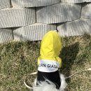 견식도락 거제시청점 이미지