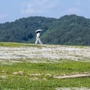 대청호오백리길 호반낭만길 | 대전 여행 명소 대청호 오백리길 호반낭만길 명상정원 산책하기좋은곳