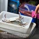 다퍼줘 | 청량리 횟집 | 가성비 최고 경동시장 다퍼줘 포장 후기 (주말 웨이팅, 생새우회, 꽃게탕, 해삼)