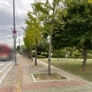 문산역 앞 횡단보도 이미지