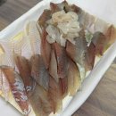 영일만회센터 | [ 마산ㅣ문화동 ] 영일만 : 가성비 끝내주는 댓거리 활어회 현지인 맛집 (구. 회도라)
