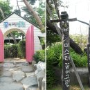 영그린유치원
