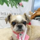 부산종합동물병원 이미지