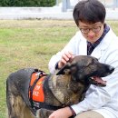 백두축산 이미지