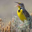 인계주공4거리 이미지