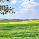 길정해농장 이미지