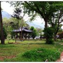 중기 효자숲 이미지