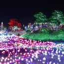 태안반도영농조합법인 이미지