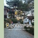 솔푸른향기애견 이미지