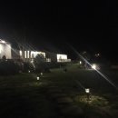 서쪽강생이 이미지