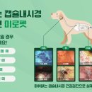 나의 동물메디컬 센터 이미지