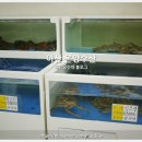 온양수산 이미지