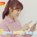 수연 이미지