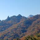 단풍 - 문경시 당교10길 17-3 | 단풍