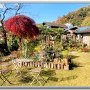 화가의정원 이미지