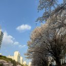 만나교회 밑 이미지