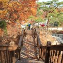 자연의쉼터 이미지