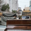 신우상회