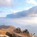 더원치과기공소 이미지