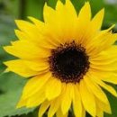 고매천 2 이미지