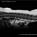 두암동물병원 이미지