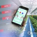 이선호농장 이미지