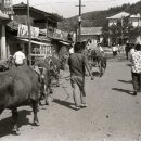 영강동 어울림센터 이미지