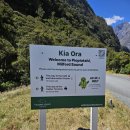 뉴질랜드 남섬 밀포드 사운드 룩아웃 Milford Sound Lookout 무료 주차장 트레킹