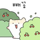 엣모아 이미지