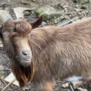 지월농장 | [Camp.6] 서울 근교 당일치기 캠핑이 가능한 경기광주 캠핑장 지월농원에서 캠크닉