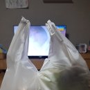 뿅가네야채곱창 - 서산시 한마음4로 41-7 | 뿅가네야채곱창