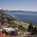 남미농장 이미지