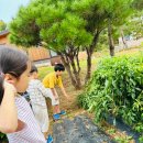 펀한노리터 이미지